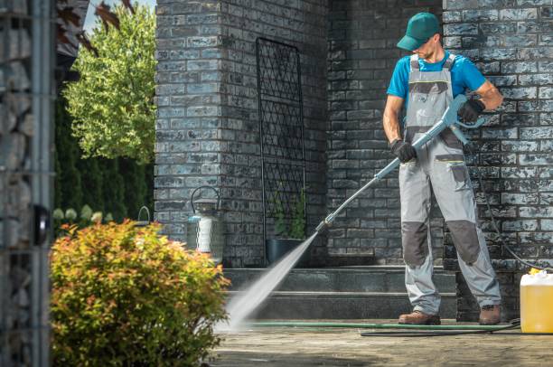 Best Pre-Holiday Cleaning  in Woodbine, GA